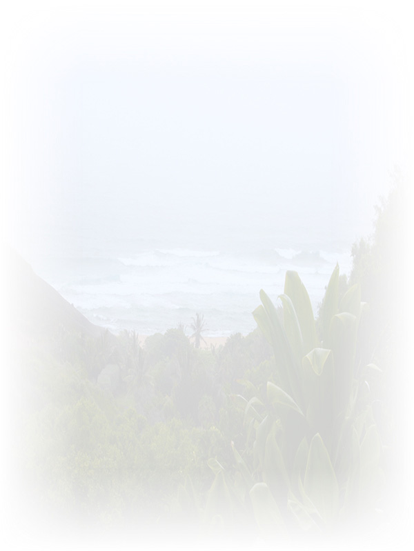 Law of Attraction Card - Image 3