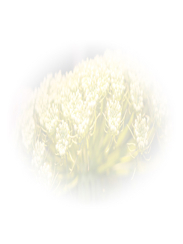 Law of Attraction Card - Image 3