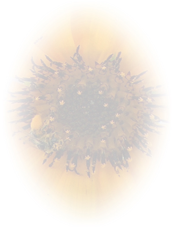 Law of Attraction Card - Image 3