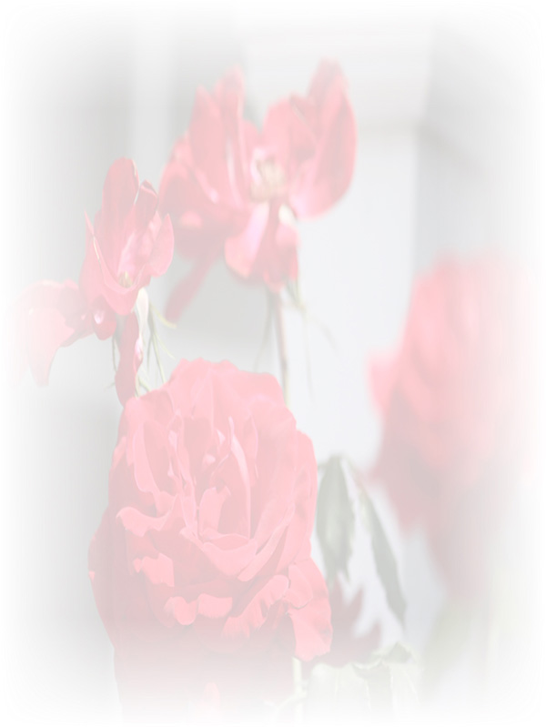 Law of Attraction Card - Image 3