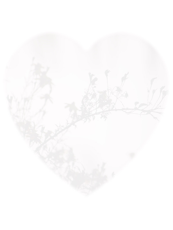 Law of Attraction Card - Image 3