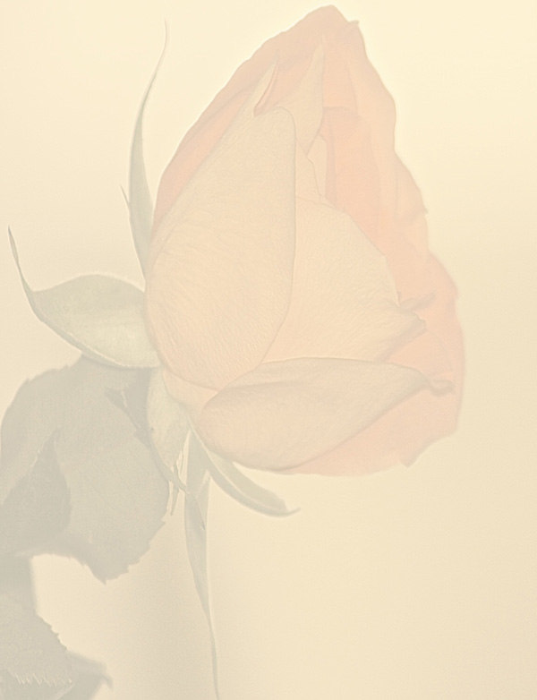 Law of Attraction Card - Image 3
