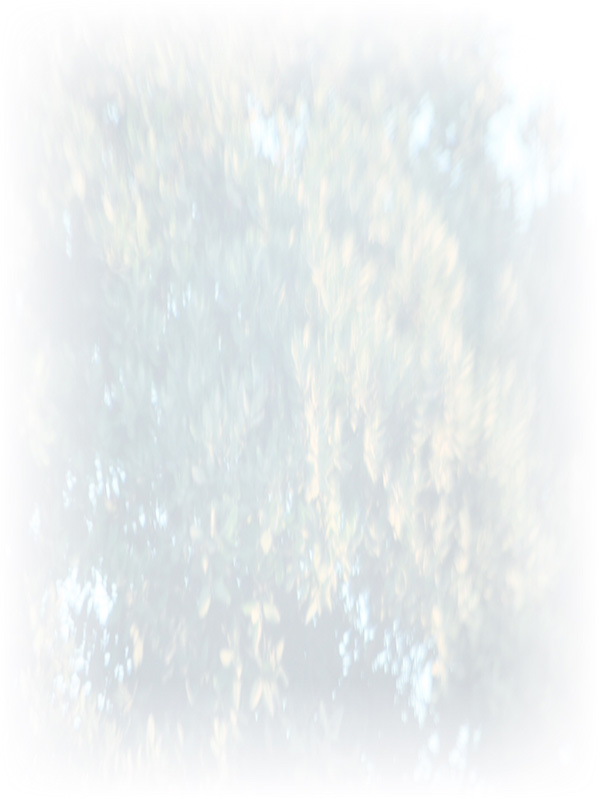 Law of Attraction Card - Image 3