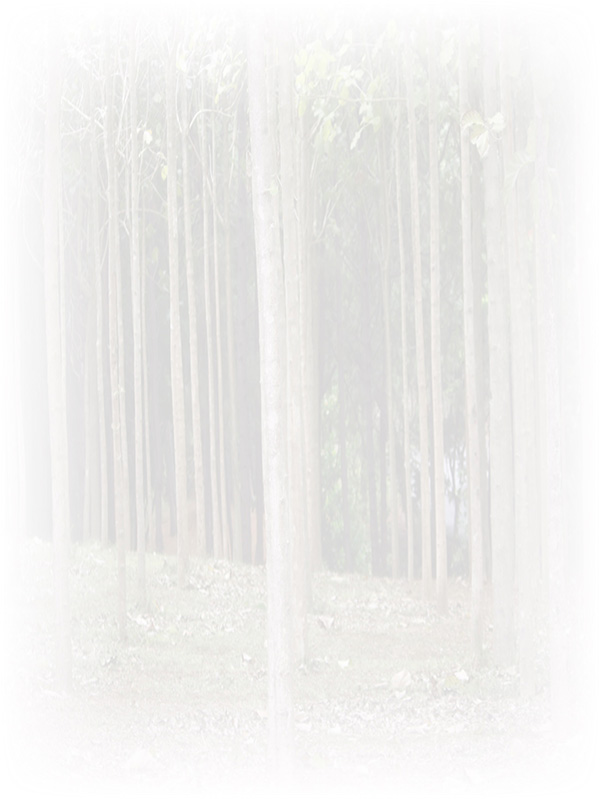 Law of Attraction Card - Image 3