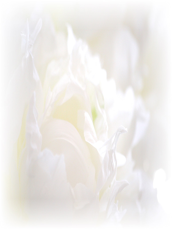 Law of Attraction Card - Image 3