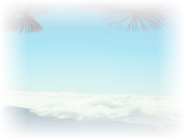 Law of Attraction Card - Image 3
