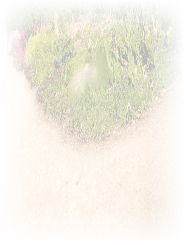 Law of Attraction Card - Image 3