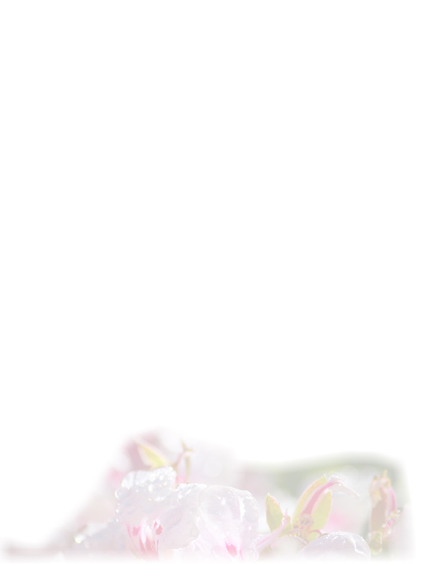 Law of Attraction Card - Image 3