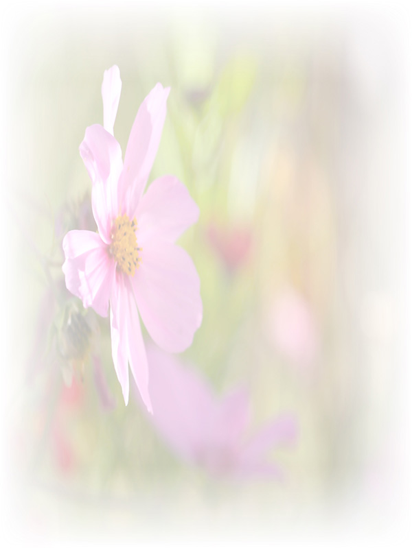 Law of Attraction Card - Image 3