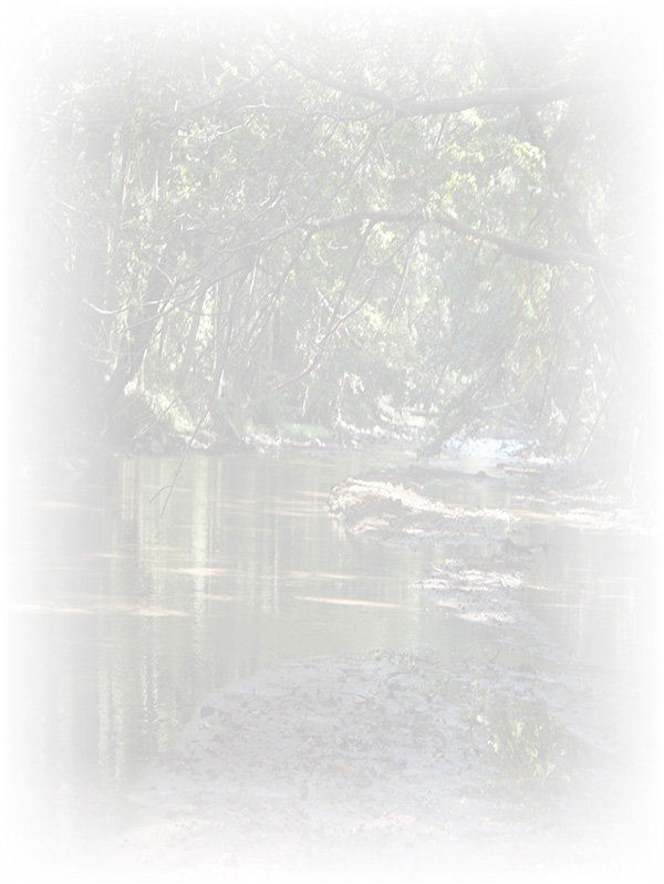 Law of Attraction Card - Image 3