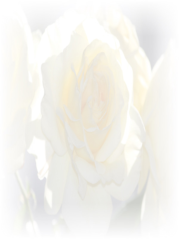 Law of Attraction Card - Image 3