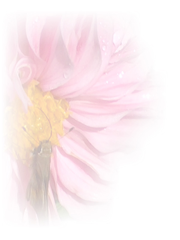 Law of Attraction Card - Image 3