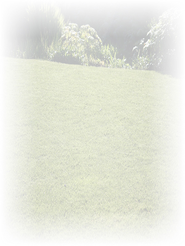 Law of Attraction Card - Image 3