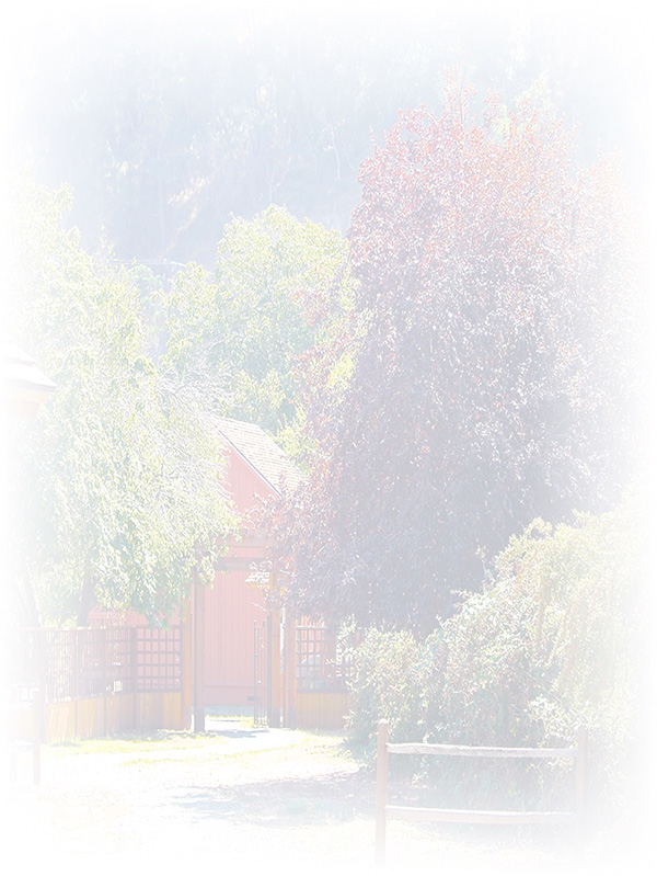 Law of Attraction Card - Image 3
