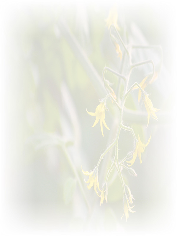 Law of Attraction Card - Image 3