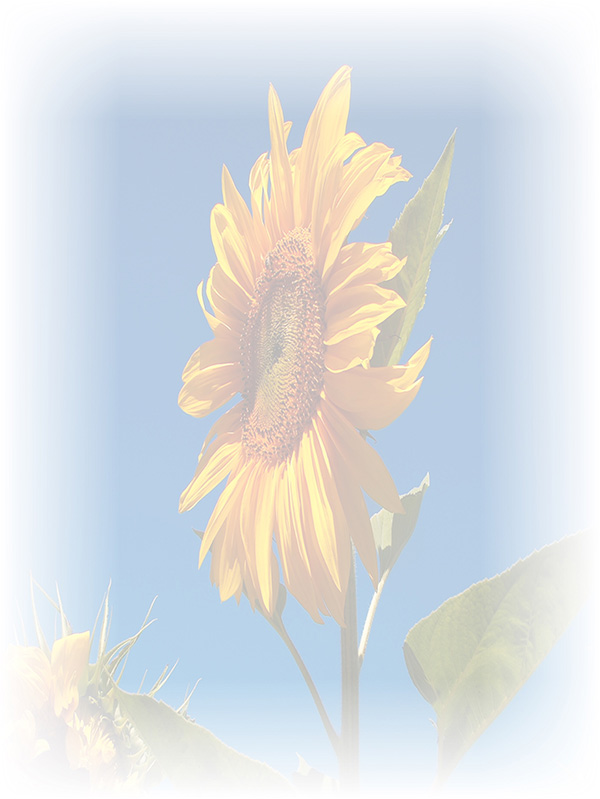 Law of Attraction Card - Image 3