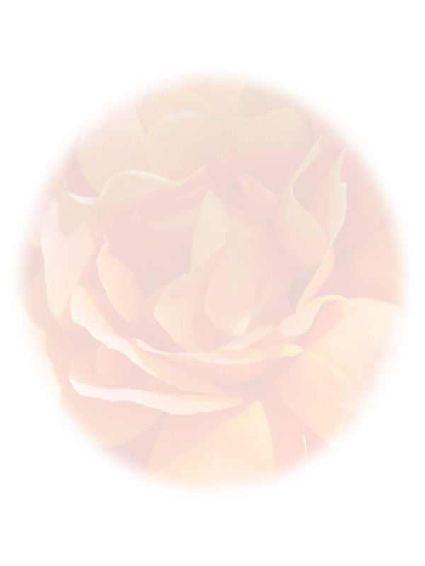 Law of Attraction Card - Image 3