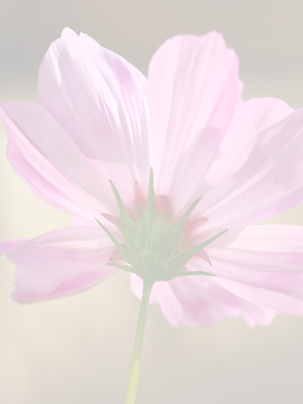 Law of Attraction Card - Image 3