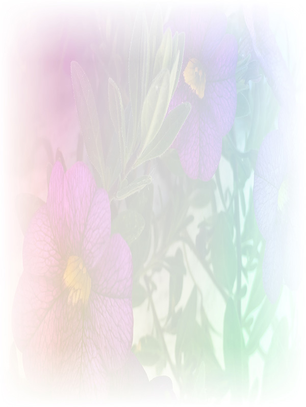 Law of Attraction Card - Image 3