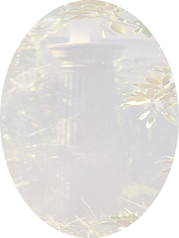 Law of Attraction Card - Image 3