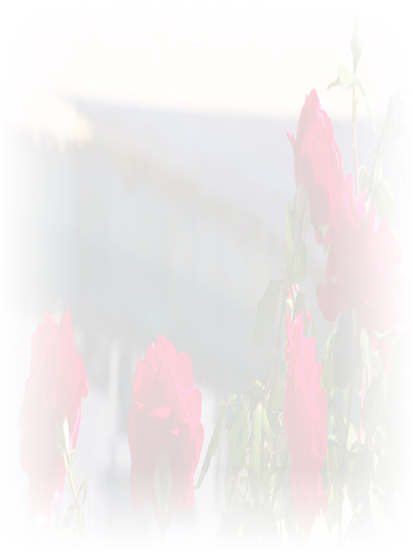 Law of Attraction Card - Image 3