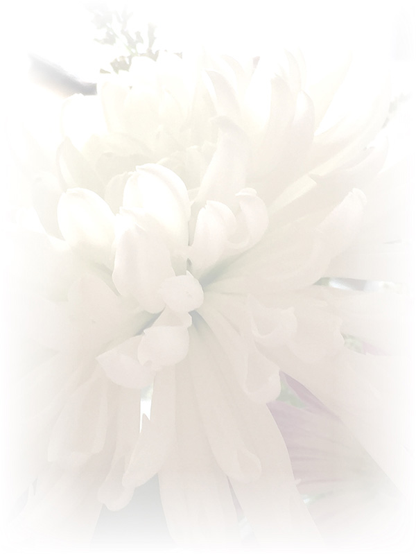 Law of Attraction Card - Image 3