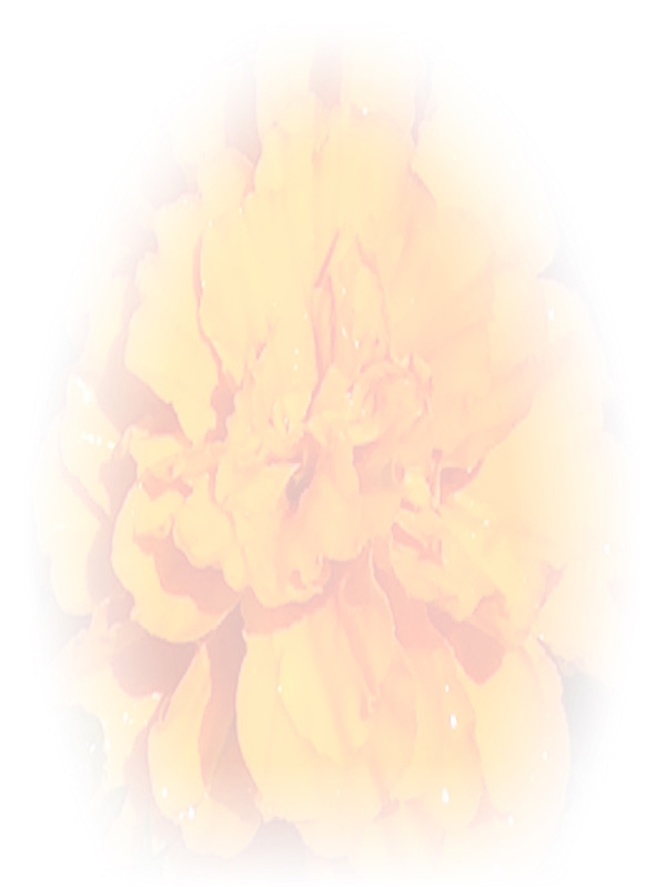Law of Attraction Card - Image 3
