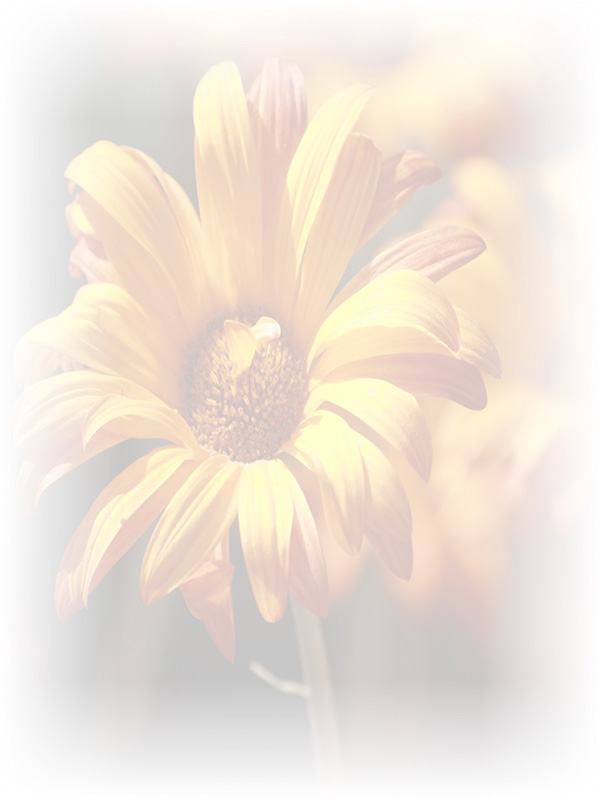 Law of Attraction Card - Image 3