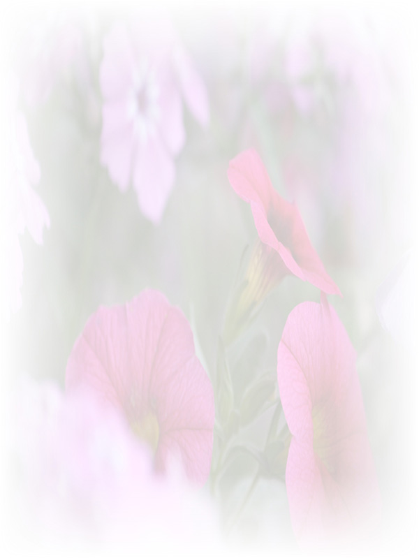 Law of Attraction Card - Image 3