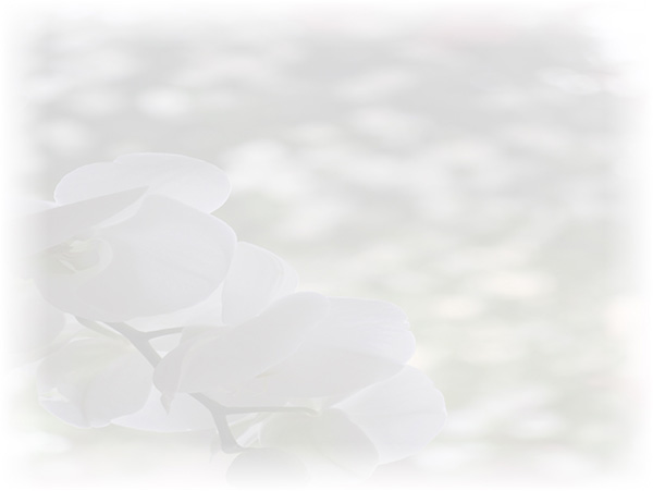 Law of Attraction Card - Image 3