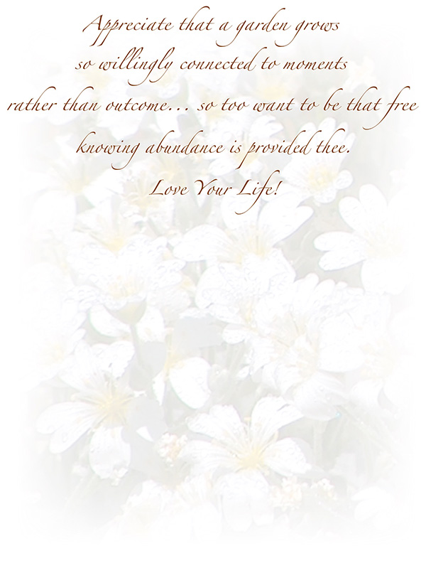 Law of Attraction Card - Image 3
