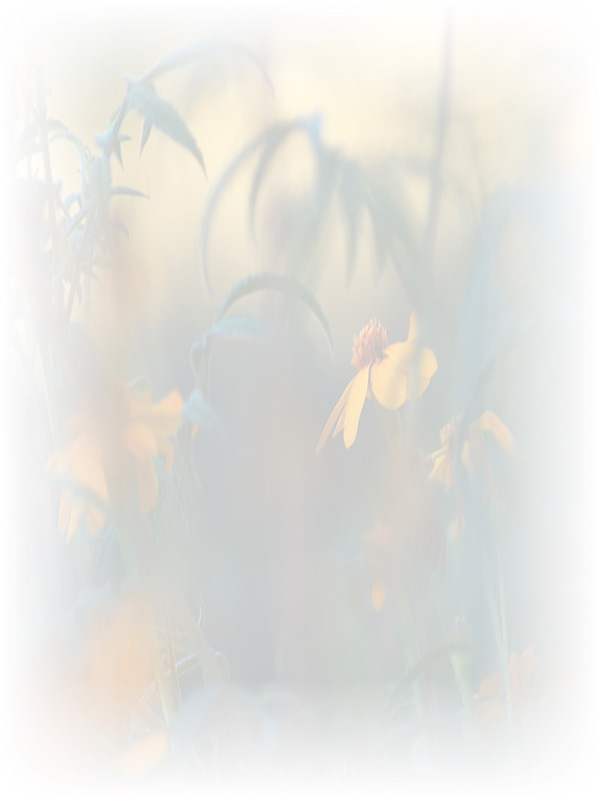 Law of Attraction Card - Image 3