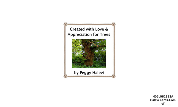 Law of Attraction Card - Image 2