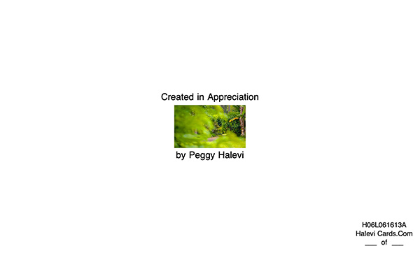 Law of Attraction Card - Image 2