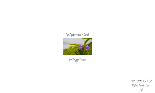 Law of Attraction Card - Image 2