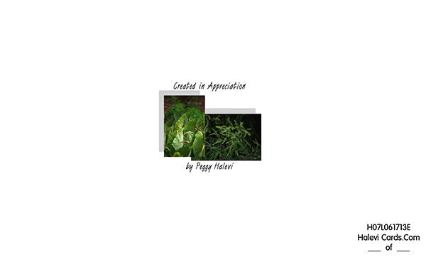 Law of Attraction Card - Image 2