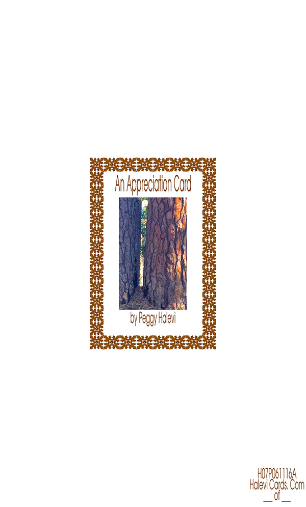 Law of Attraction Card - Image 2