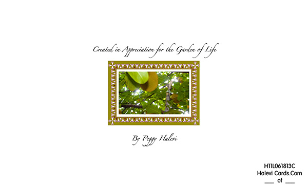 Law of Attraction Card - Image 2