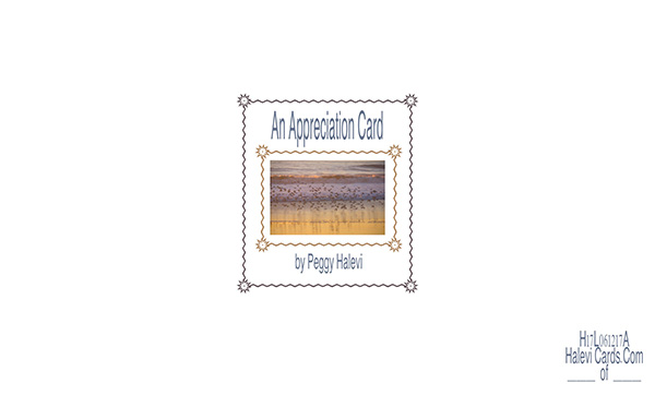 Law of Attraction Card - Image 2