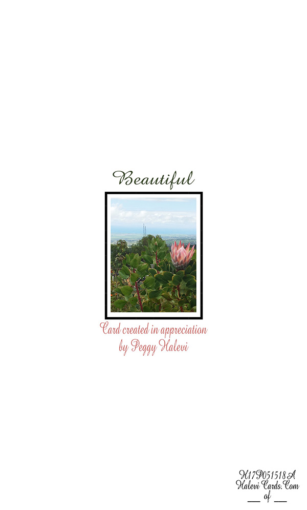 Law of Attraction Card - Image 2