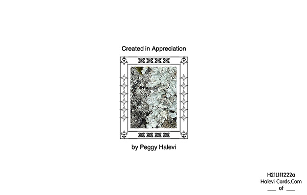 Law of Attraction Card - Image 2