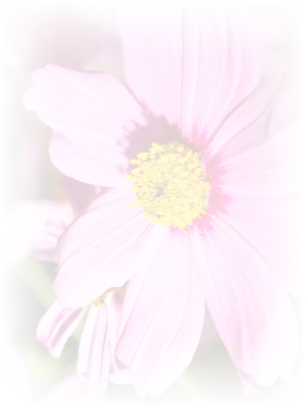 Law of Attraction Card - Image 3