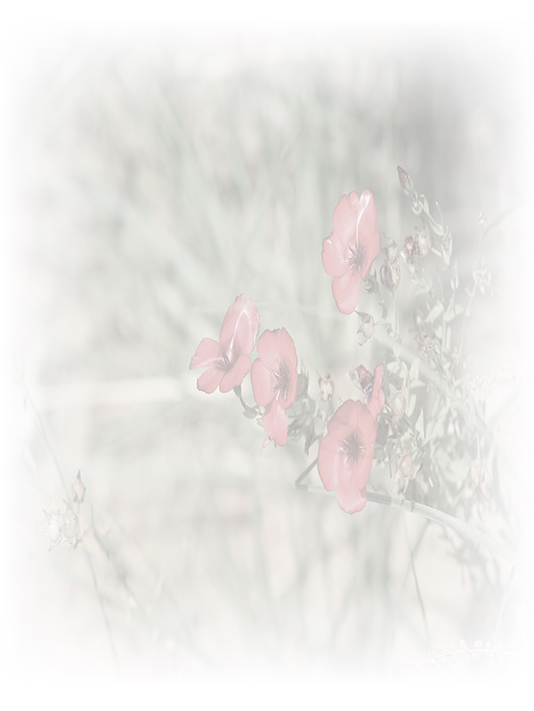 Law of Attraction Card - Image 3