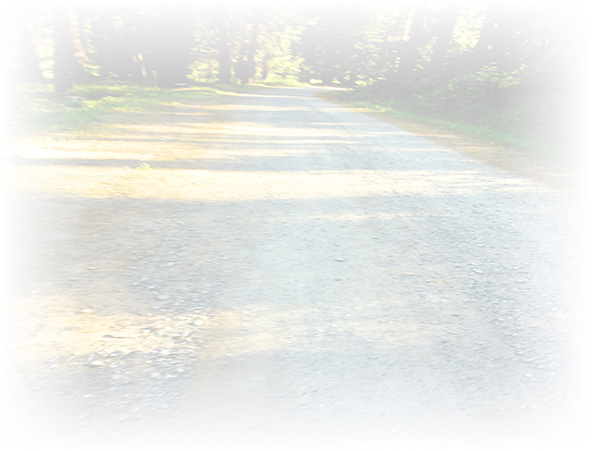 Law of Attraction Card - Image 3