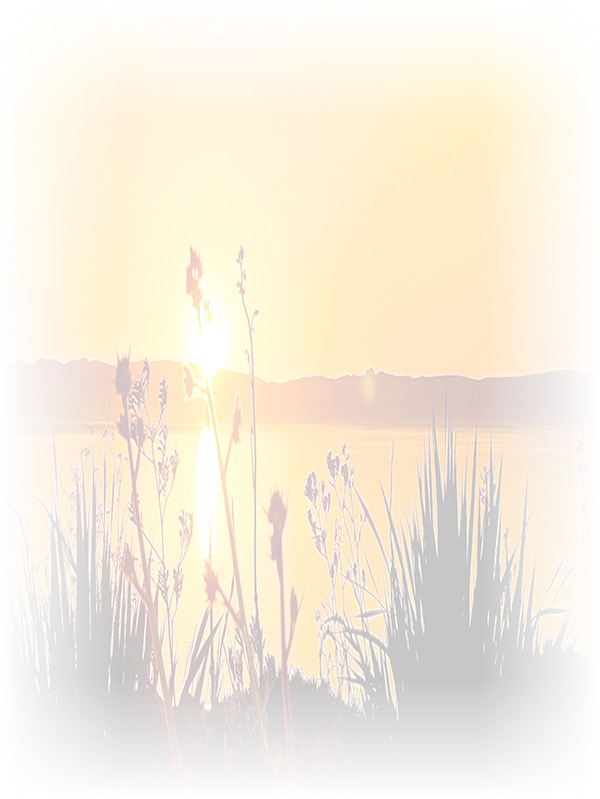 Law of Attraction Card - Image 3