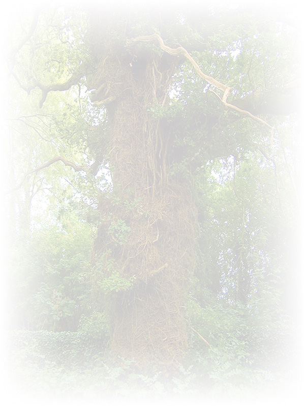 Law of Attraction Card - Image 3