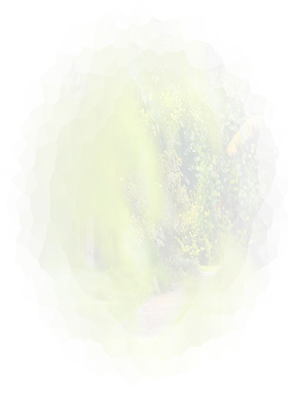 Law of Attraction Card - Image 3