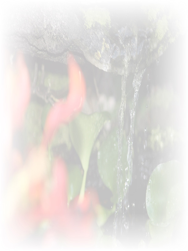 Law of Attraction Card - Image 3