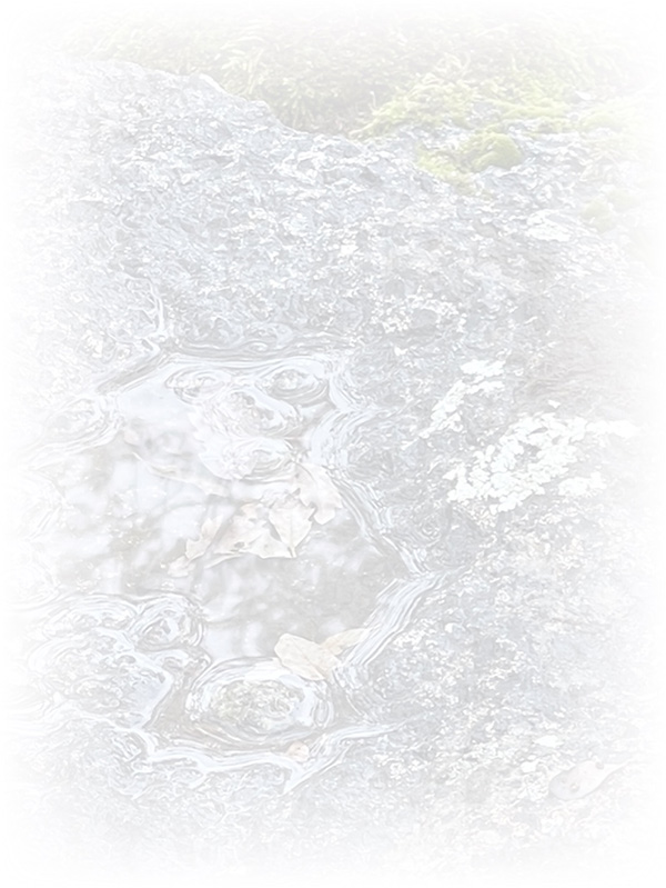 Law of Attraction Card - Image 3