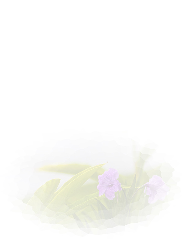 Law of Attraction Card - Image 3